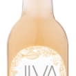Jiva Kombucha Ginger