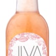 Jiva Kombucha Watermelon & Mint