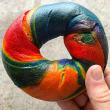Brooklyn Boy rainbow bagel (48hrs notice)
