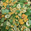 Ricotta Tortellini Pesto & Pumpkin salad (48 hrs notice)