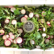 Mesclun salad