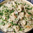 Chicken mushroom & leek casserole (pp)