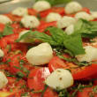 Tomato Bocconcini & Basil