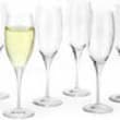 Plastic Champagne Flutes