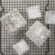 Classic Lamingtons