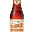 James Squire The Chancer Golden Ale 24 x 345ml