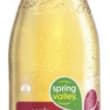 Spring Valley Apple 30 x 250ml Glass