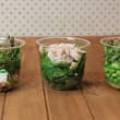 Super Asian greens veggie pod (small)