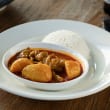 Malaysian chicken curry