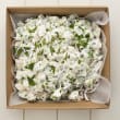 Potato Salad (NF)