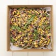 Grains & Bean Salad