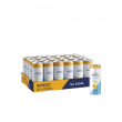 Mt Franklin Lightly Sparkling Mango 24x 250ml Cans