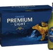Cascade Light