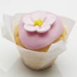 Mini Cupcake