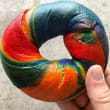 Brooklyn Boy rainbow bagel (48hrs notice)
