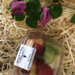 Fruit Cup