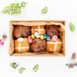 Hot Cross Bun Gift Box