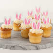 Chocolate & Vanilla Cotton Tail Cup Cakes