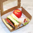 Sandwich & Wrap Lunchbox