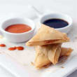 Vegetarian Samosa