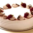 Tiramisu Cake