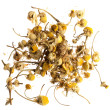 Just Chamomile