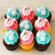 Baby boy & girl mixed mini cupcakes (12 pcs)