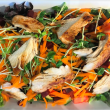 Garden salad with chicken