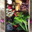 Ploughmans Platter