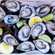 Oysters (18 pcs) (DF)