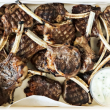 Lamb cutlets with yoghurt Tzatziki (16 pcs)