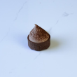 Mini Chocolate salted caramel (25 pcs)