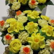 Daffodil Delight