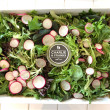 Mesclun salad