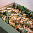 The Sarah Wilson salad (8-12pax)