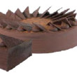 Chocolate Mud Cake (28cm)