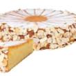 Orange Almond Cake (DF) (28cm)