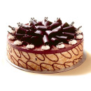 Chocolate mousse torte