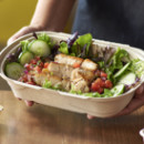Grilled Chicken Salad (Mild)