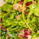 Rocket & Quinoa salad