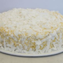 Mango & coconut cake