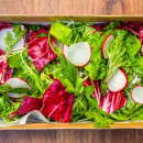 Mixed Leaf Salad