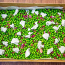 Peas & Goats Cheese Salad