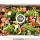 Chicken & Avocado Salad