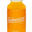 Botanica Orange Cold Pressed Juice 12 x 250ml