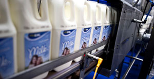 Procal Dairies Melbourne