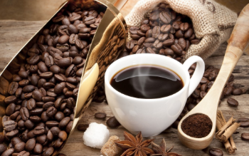 PureBean Pty Ltd