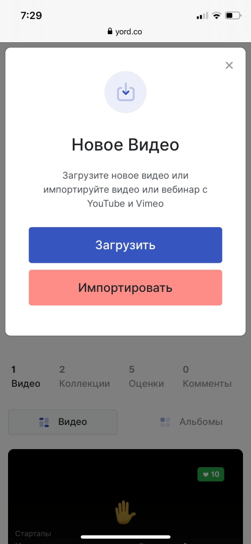 iPhone