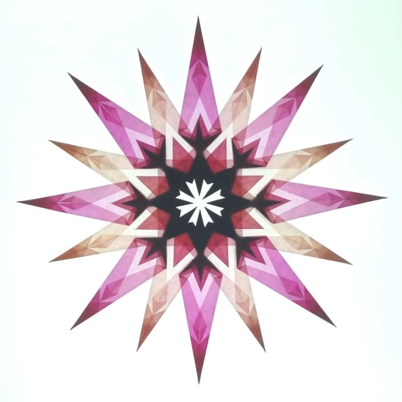 折り紙 2023-01-12 の作品 ［lois52eunikeさん］（1）