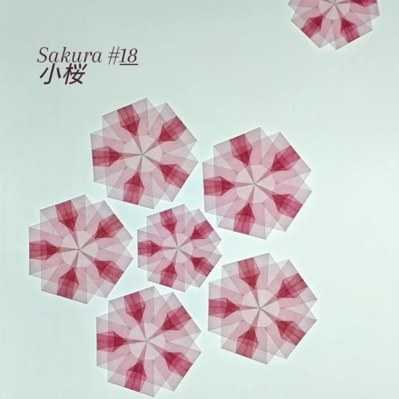 折り紙 2025-03-13 の作品 ［lois52eunikeさん］（1）